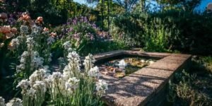 Shelly Beach Fundraiser