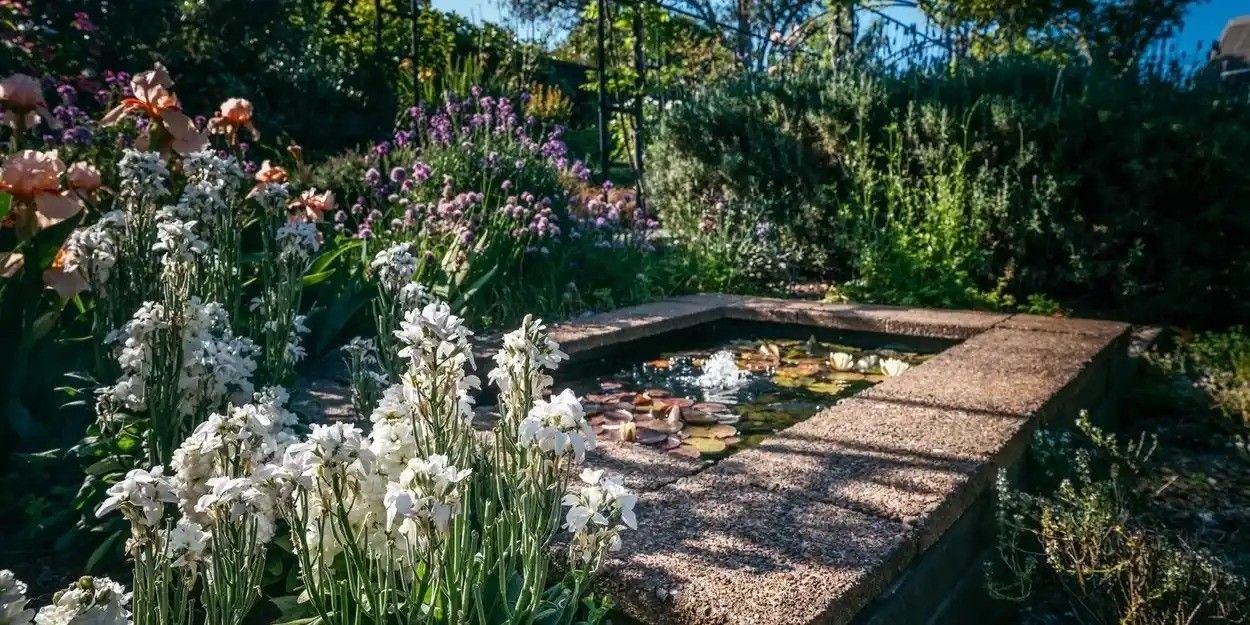 Shelly Beach Fundraiser